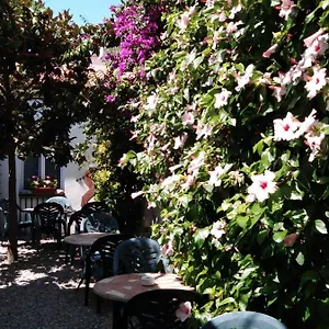  Hotel Mitus Spain